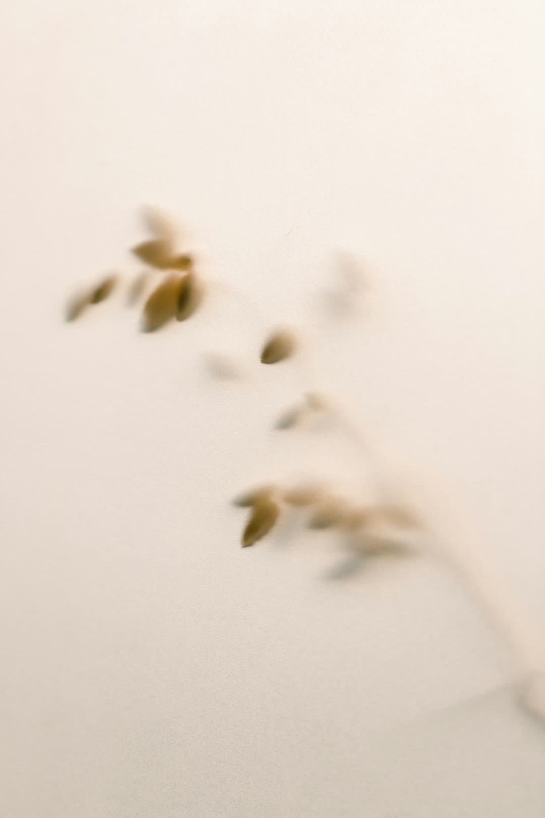 暑期大剧盘点：《幻城》《半妖倾城》《超少年暗码》